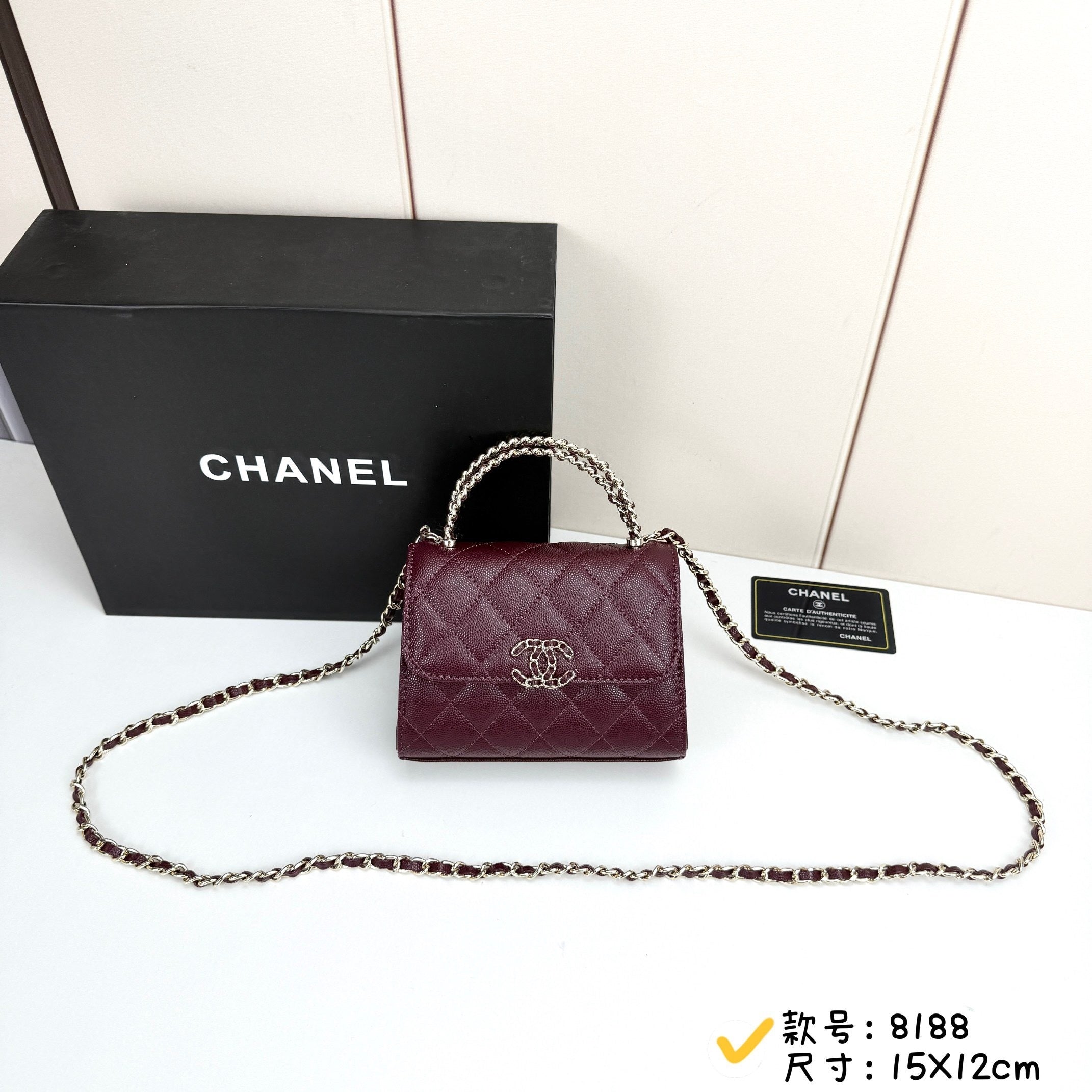 25S Vertical Mini Kelly-Style Bag